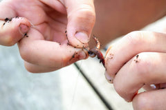 Finding bait like insects and worms for fishing