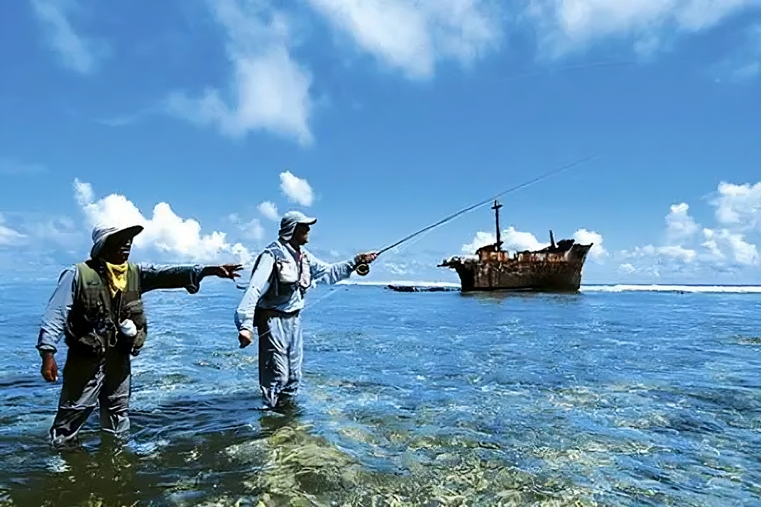 Low Tide and High Tide When Fishing