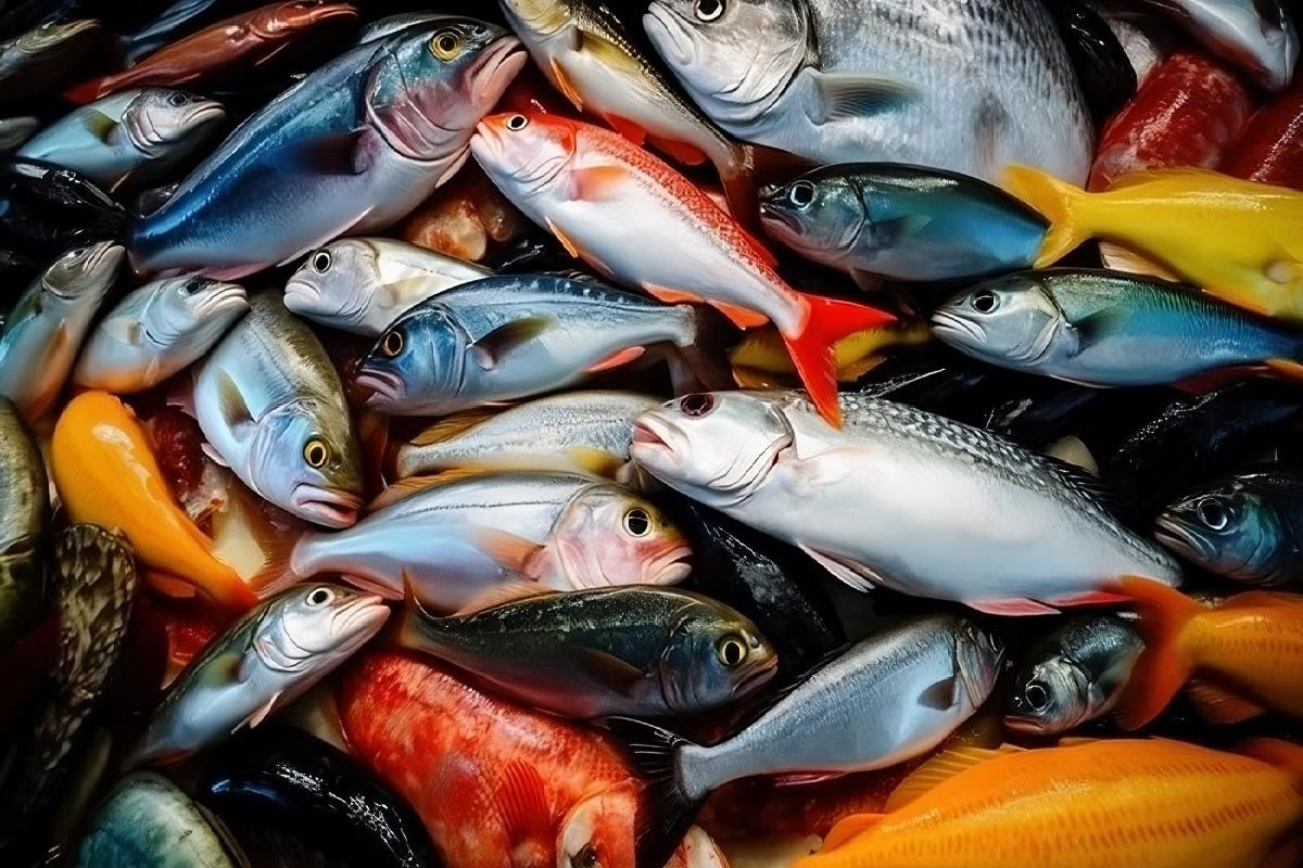 Popular game fish to catch in saltwater and freshwater of North Americ ...