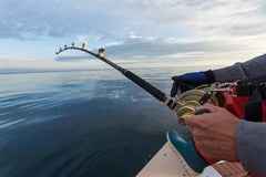 Choosing the best pole rod for fishing