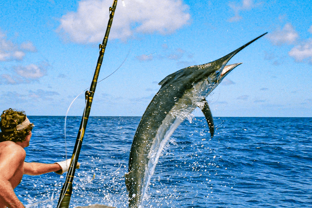 deep sea fishing