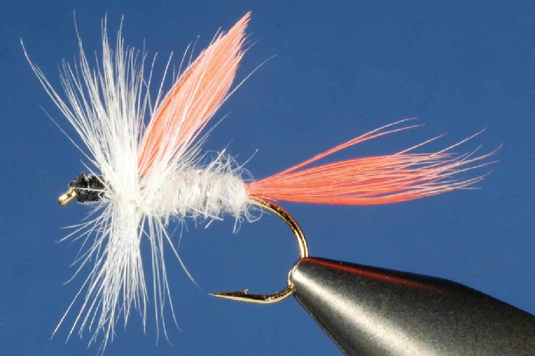 fishing with fly bait