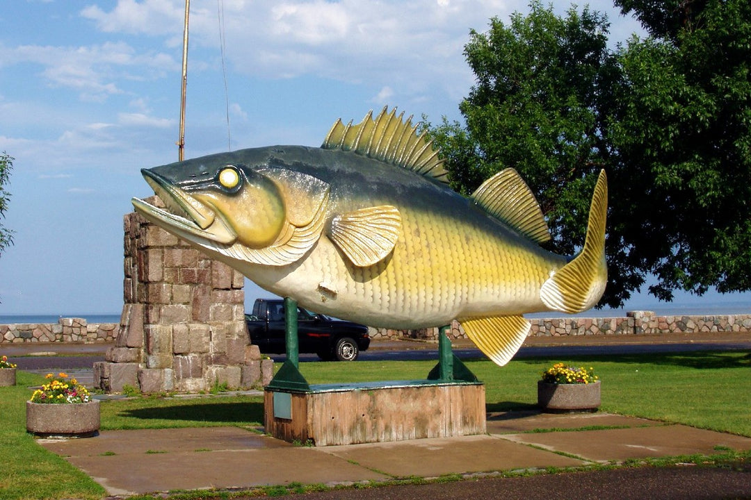 State fish of Minnesota