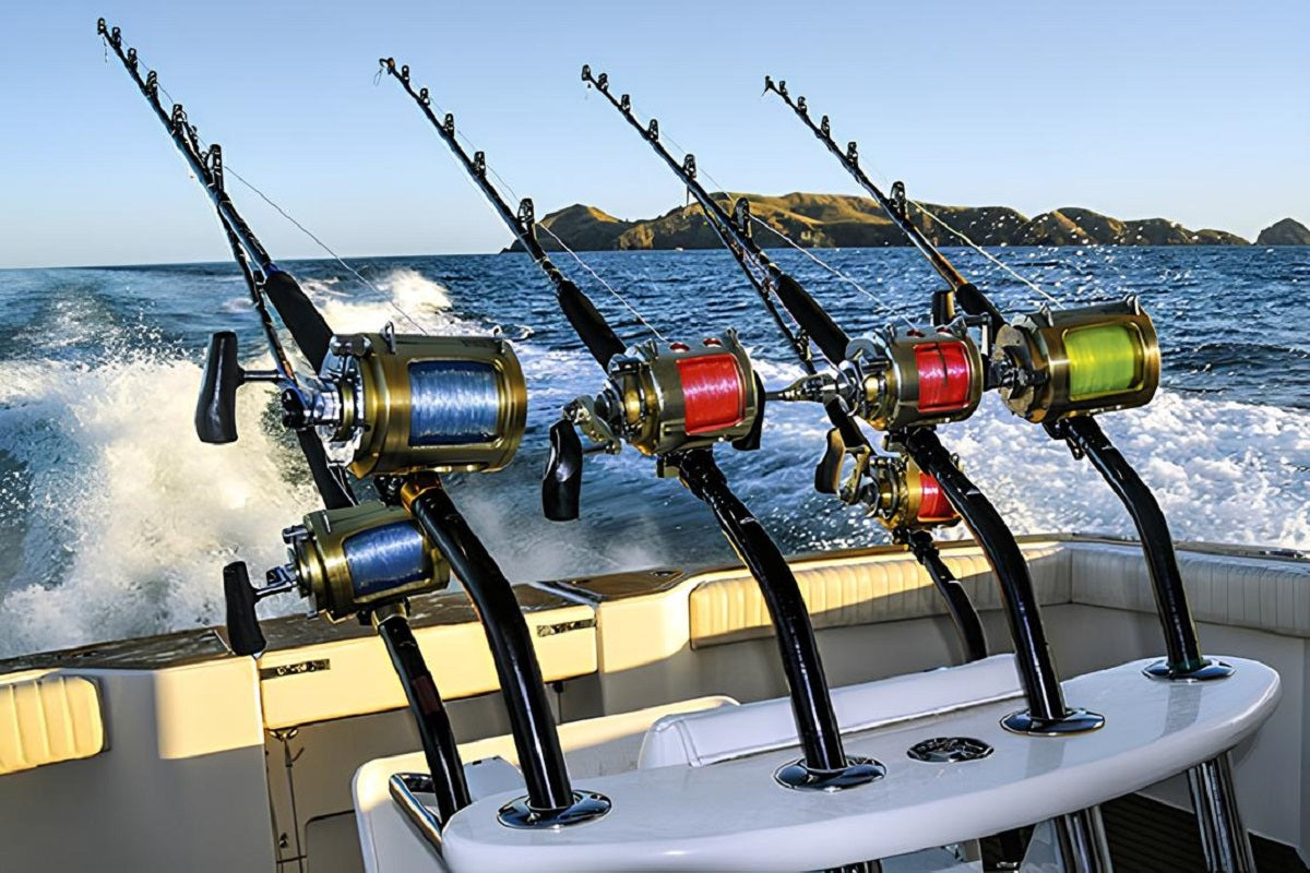 How to set up a fishing rod? WalleyeX®