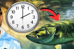 How long do i wait before a fish is caught?